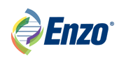 Enzo Logo